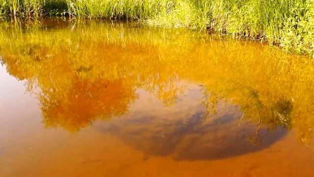 малые реки России Каспля Смоленская обл смотреть онлайн