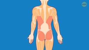 8 простых упражнений против боков без спортзала