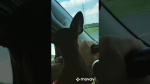 Дороги которые мы выбираем...