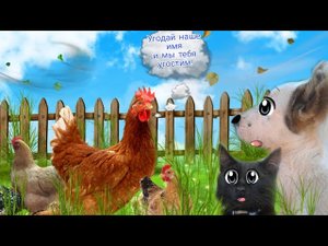 Как изменился наш огород... часть 2 ( Щенок забыл имина кур, теперь он без вкусняшки)