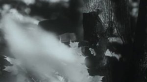 Baimė (Страх), 1996.