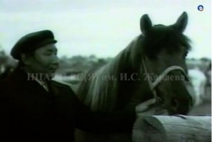 Ко Дню коневода- табунщика в Якутии. Киноочерк "Эта якутская лошадь" 1980 года.