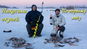 ЭТО БЫЛА СЛАВНАЯ ОХОТА! Первый лед. Аргази. Блесна. Окунь