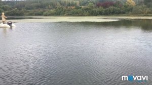 Рыбалка на томи , ловля окуня , тайменя , хариуса , щуки ! Часть 1