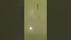 Уловистая блесна СС 33