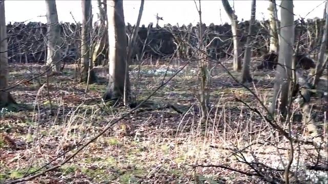 Smeaton snowdrops смотреть онлайн