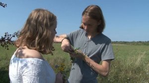 Нам не дано предугадать