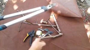Неудачный секатор и бомбический сучкорез. Небольшой обзор инструмента.