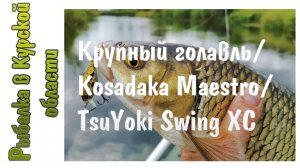 Поклевка и вываживание крупного голавля. Kosadaka Maestro и TsuYoki Swing XC