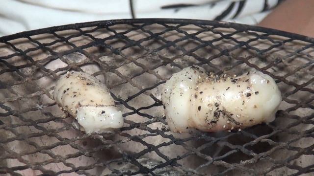 女性にも人気の丸腸を七輪で焼いたら激旨 смотреть онлайн