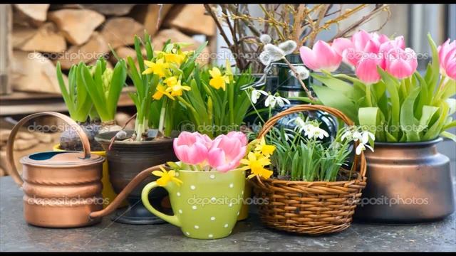 Букеты нарциссов часть   13