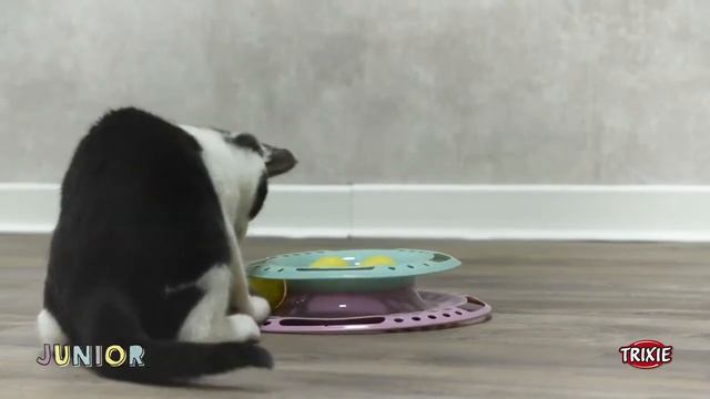 Развивающая игрушка для котят и кошек из серии Junior смотреть онлайн