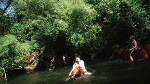Купание с конями