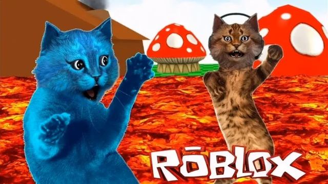 Котёнок Лайк и котик Игроман