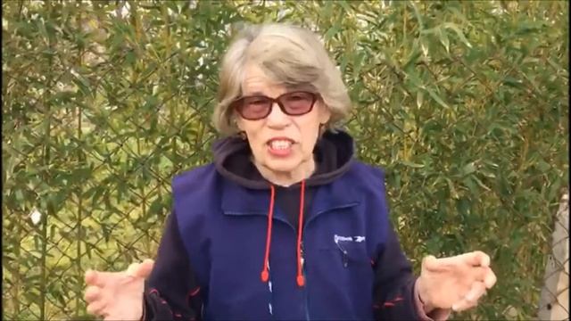 ЧЕСНОК ПО КЛУБНИКЕ ВЕСНОЙ / ПЕРВАЯ ЗЕЛЕНЬ В МОЕМ САДУ / МОЙ ОПЫТ САДОВОДСТВА смотреть онлайн