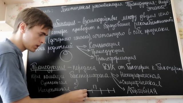 Генетическая Рекомбинация. Трансдукция - Виды И Этапы Трансдукции