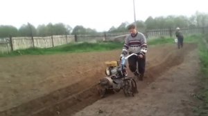 Посадка Картофеля Мотоблоком Нева