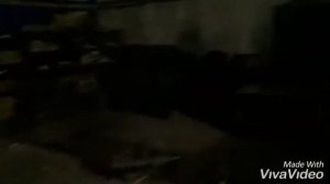 Электромонтёр