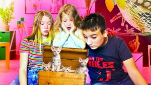Дети играют с котятами дома - Сборник