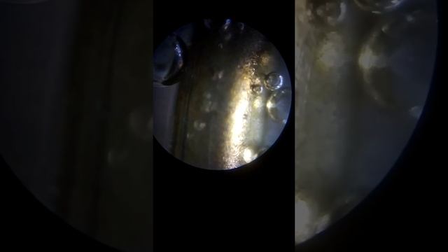 Выделение водорода ТОЧЕЧНО под микроскопом смотреть онлайн