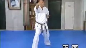 Ката Тайкиоку Cоно Сан Киокушинкай Каратэ