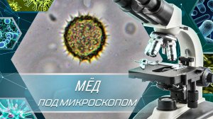 Мёд под Микроскопом. Увеличение 40х 400х