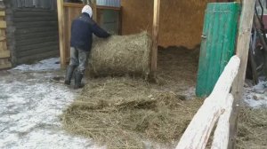 Как мы жили зиму без электричества в глухой деревне Рязанской области с малыми детьми
