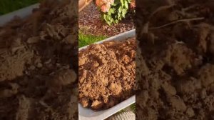 Рассказываю какой грунт выбираю для своих гортензий. P.S. Конский навоз
