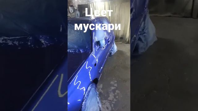 гольф 3 мускари цвет