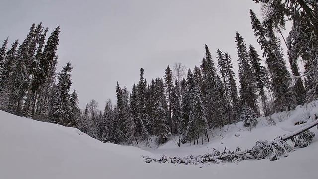 Февральский хариус \ Жизнь в таёжной землянке \ Часть 3 \ Завершение смотреть онлайн