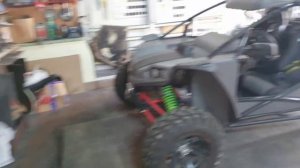 Озвучиваем Багги