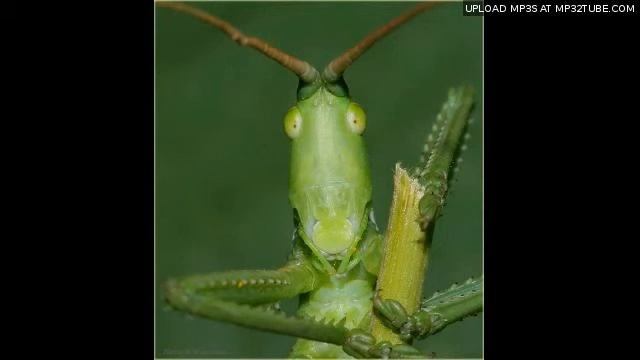 Песня про монитор смотреть онлайн