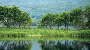 Решив продать дачу где муж пропадал, нашла там фотографии  и не смогла сдержать крик
