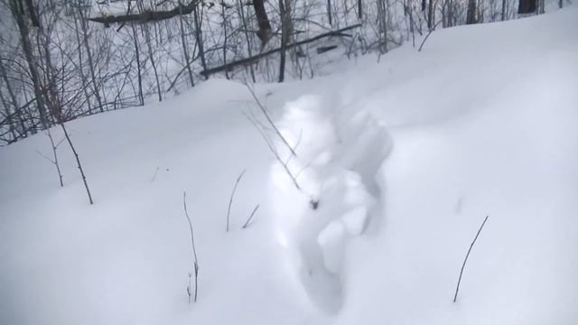 В тайгу на промысел По избушкам смотреть онлайн