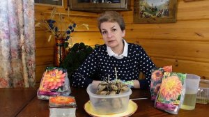 Как подготовить георгины к посадке