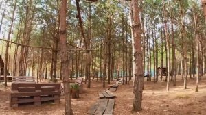 Путешествие по сказке