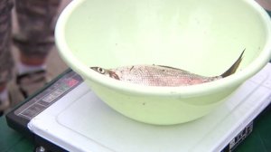 Фестиваль "Семейная рыбалка" прошел на Гребном канале Нижнего Новгорода 6+