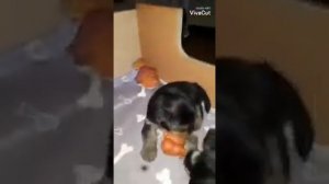 3 августа 2021 г.