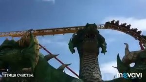 Куда пойти в Адлере? Сочи Парк!