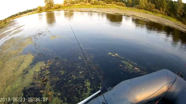 Фестиваль РК"Ипуть" 23.06.19г.Новые Бобовичи(Новозыбковский р-он) смотреть онлайн