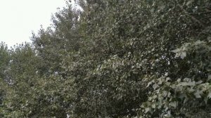 Когда нельзя готовить ? Приметы для женщин . Народные приметы и поверья