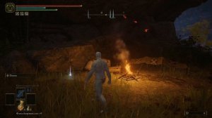 ИМБОВЫЙ ЯДОВИТЫЙ БИЛД НА ОТРАВЛЕНИЕ ЧЕРЕЗ КАТАНЫ ! Змеевидная костяная катана ! Elden Ring