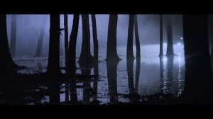 КАТЯ НОВА   Волк Одиночка