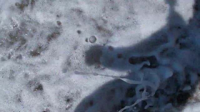Орловка. Пляж Немецкая балка. #орловка,#отдыхнаморе,#севастополь,#немецкаябалка,