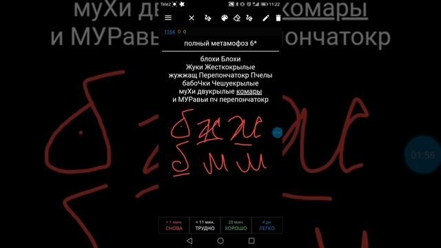 Насекомые с полным и неполным метаморфозом для ЕГЭ. Отряды насекомых