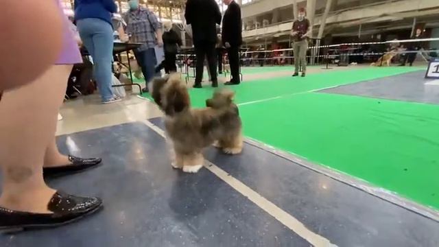 NDS Екатеринбург апрель 2021 смотреть онлайн