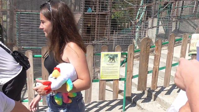 ОТДЫХАЮЩИЕ В ГЕЛЕНДЖИКЕ! ЗООПАРК В ГЕЛЕНДЖИКЕ (САФАРИ-ПАРК) смотреть онлайн