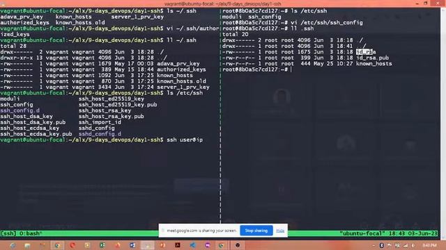 SPRINT 3 Day 1 DevOps - 0x0B SSH смотреть онлайн