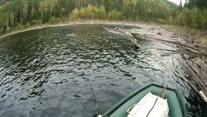 О РЫБАЛКЕ НА ВЕРТУШКУ В СЕНТЯБРЕ НА САЯНО-ШУШЕНСКОМ ВОДОХРАНИЛИЩЕ