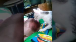 Кошка лижет голову!!!!